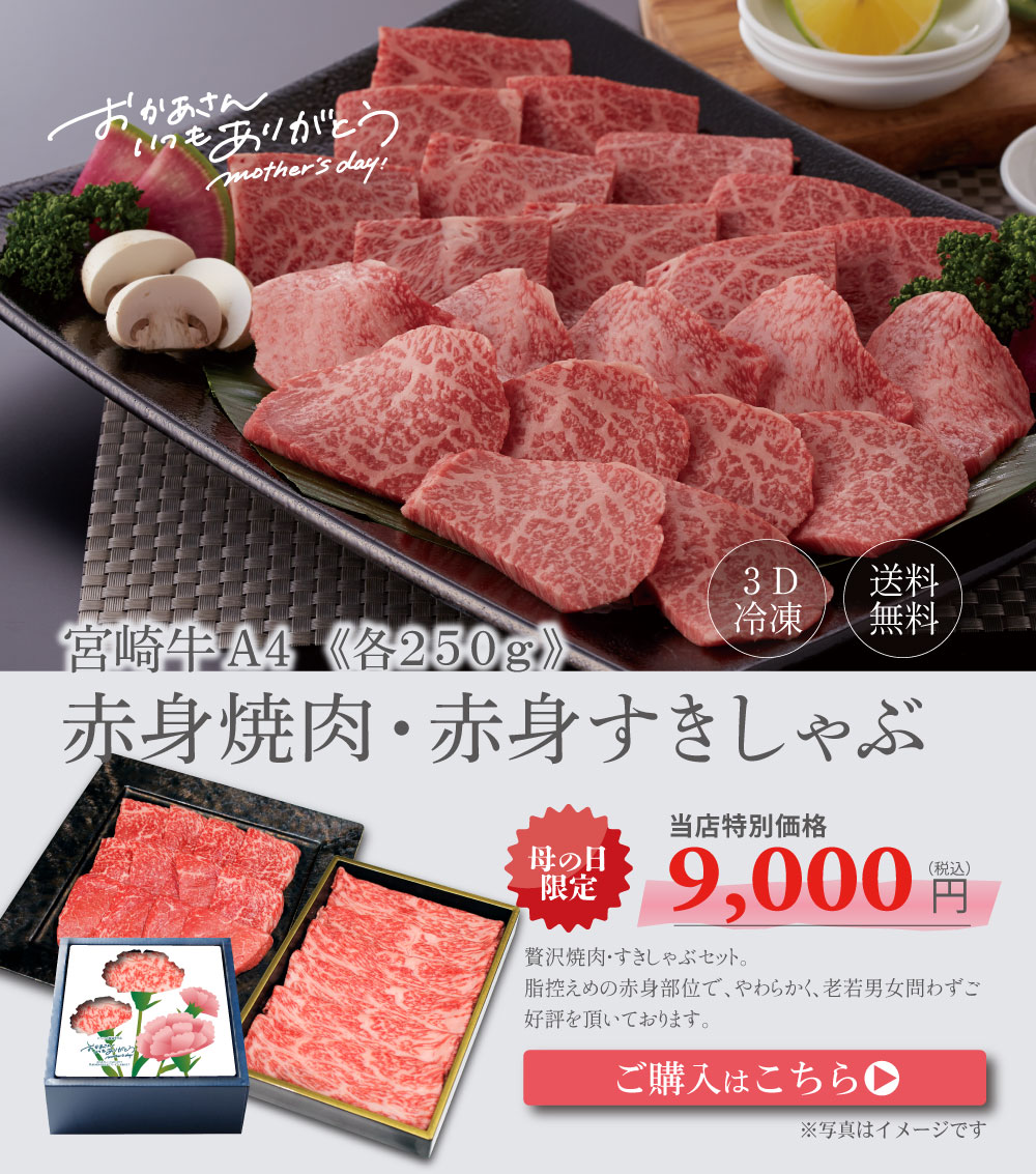 宮崎牛A4赤身セット 焼肉・すきしゃぶ 母の日ギフト