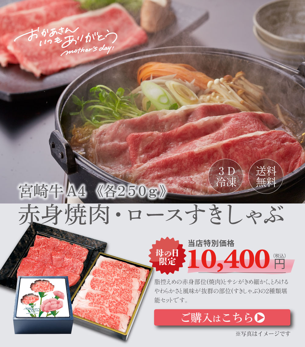 宮崎牛A4ロース・赤身セット 母の日ギフト